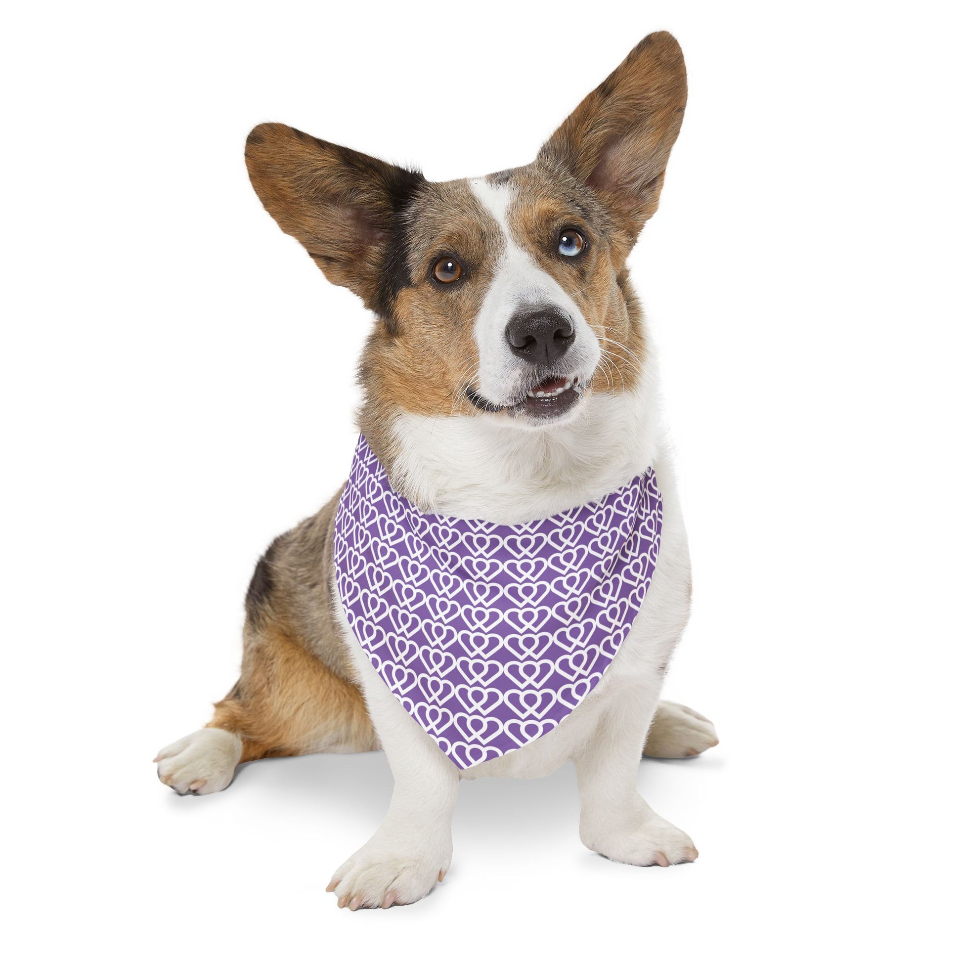 Cute Purple Heart Pet Bandana Collar | Dog Accessory for Special Occasions, Holiday Wear, Pet Gifts, Doggie Fashion